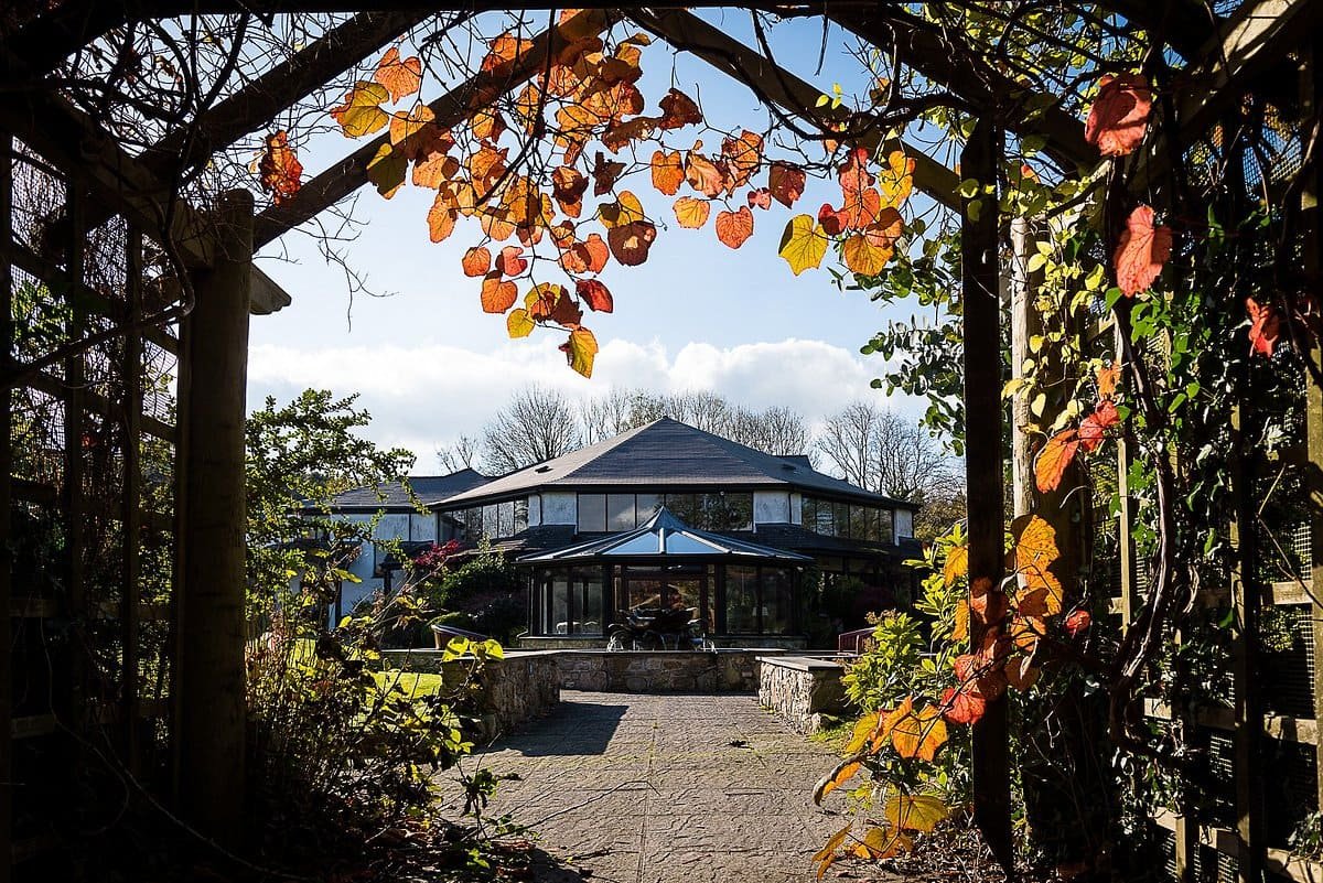 Studio with Natural Light